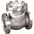 API 6D Class 300 Wcb Flanged Check Valve